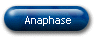 Anaphase
